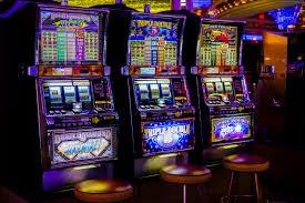 dbbet apk