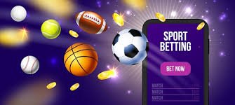 dbbet apk